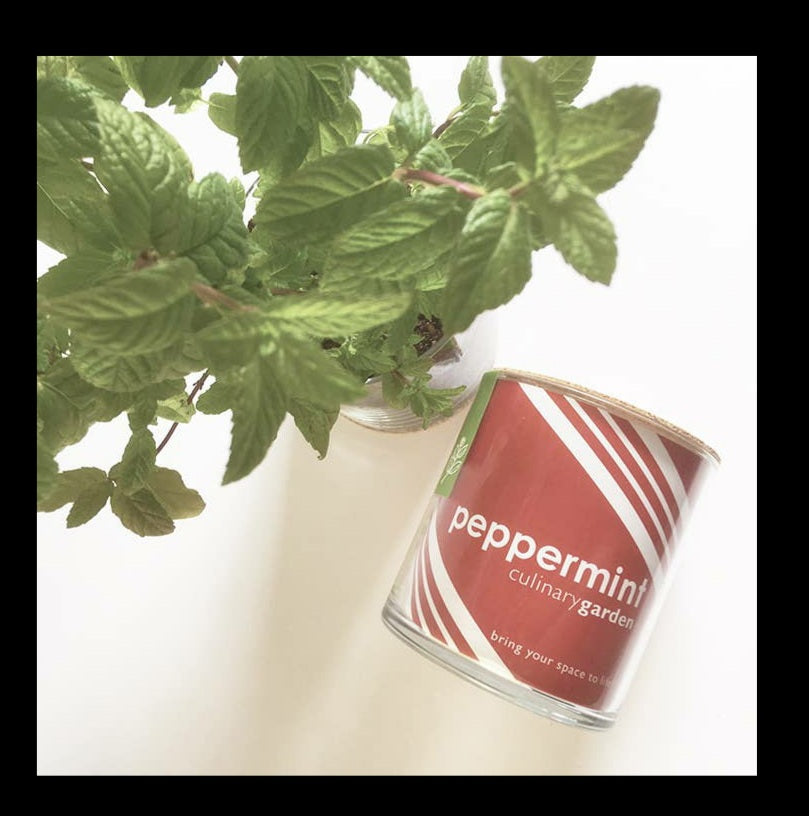 Peppermint Garden