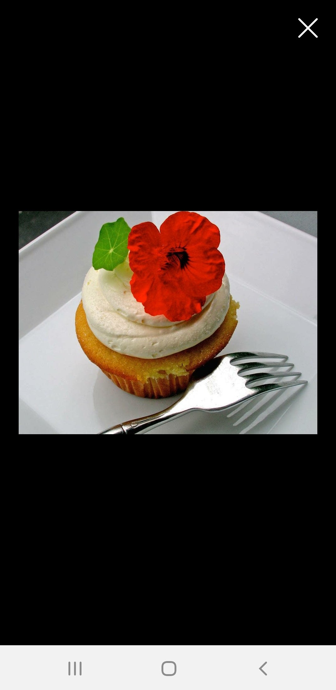 Edible Flower Garden